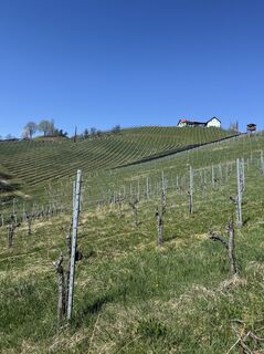 Zdjęcie z Dominik Dorner wzdłuż trasy