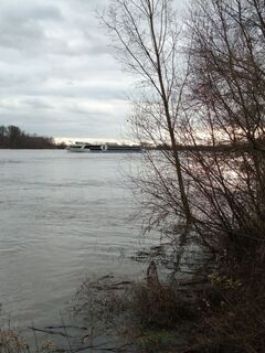 Fotografija s spletne strani Schaengemann na poti