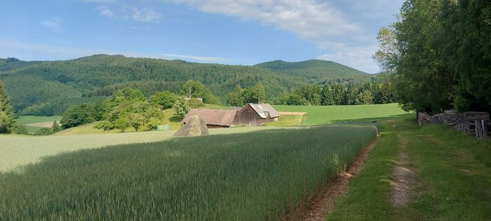 Fotografia z Klaus Gruber 3 na trase