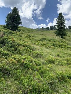 Photo de Koen De Wit le long du parcours