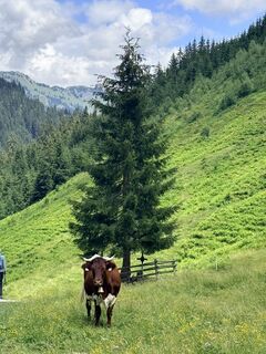 Foto von Jack Peters entlang der Tour