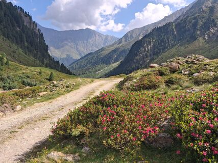 Fotografija s spletne strani helmut theyermann na poti