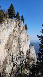 Foto von Juliane Jarke entlang der Tour