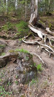 Foto von Petra Bohringer entlang der Tour