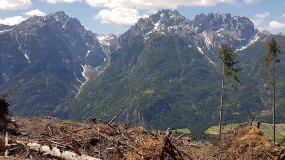 10.5 km Hochstadl - Frauenbach - Sandspitze