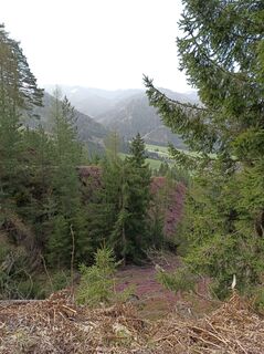 Foto von Bergpirat entlang der Tour