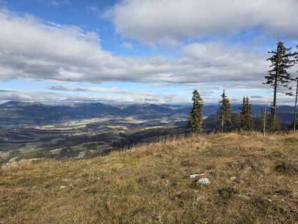 Foto de Heimo Novakovic a lo largo del recorrido