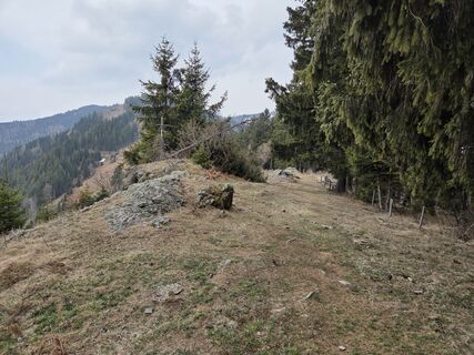 Fotografija s spletne strani Zahrni78 na poti