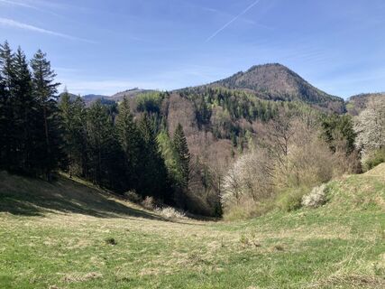 Photo de Moonytiger le long du parcours