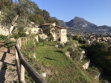 Foto von Heikoala entlang der Tour