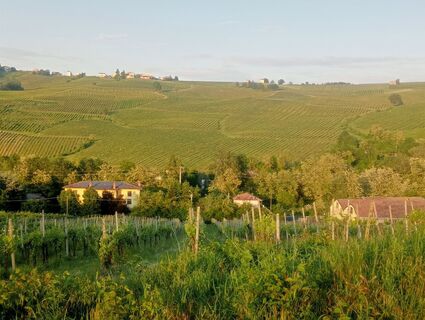 Foto de simone ravasi a lo largo del recorrido