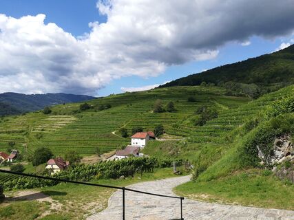 Foto fra Roman König undervejs på turen