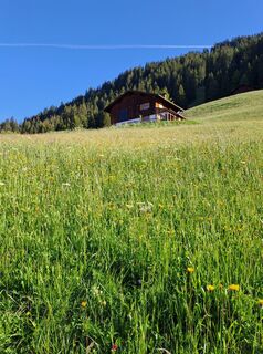 Fotó a Greg+Lisa honlapról a túra során