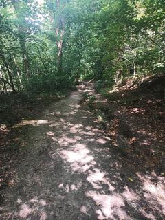 Foto fra Wierd Hagg undervejs på turen