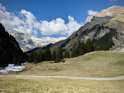 Фото с сайта Daniel Herz во время экскурсии