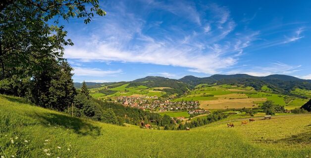 Blick auf Oberharmersbach