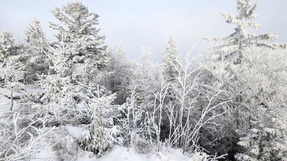 Fotografija s spletne strani TaNja85 na poti