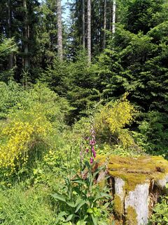 Foto von Robert Müller entlang der Tour