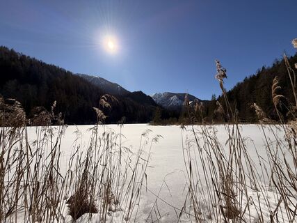 Foto von Natur_erleben_dg entlang der Tour