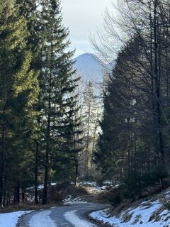 Foto von Denise Miller entlang der Tour