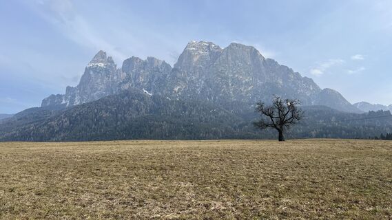 Fotografija s spletne strani Stefanie von Mörl na poti