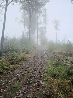 Zdjęcie z Daniel Kremiec wzdłuż trasy