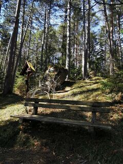 Fotografija s spletne strani Monika Nierer na poti
