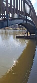 Foto de Anita a lo largo del recorrido