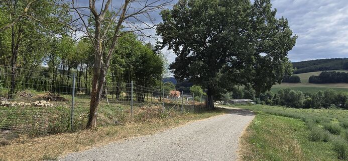 Laab im Walde