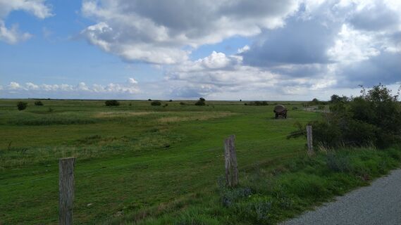 Foto von Christian Bergemann entlang der Tour