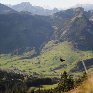 Aussicht auf der Wanderung zum Stockberg