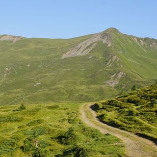 Blick auf den Gernkogel – oberhalb der Hochsonnbergalm