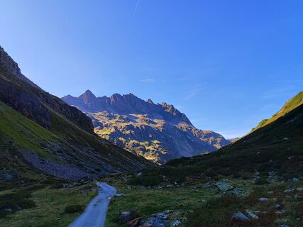 Fotografia z renekj na trase