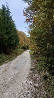 Foto de Eljazovic Miralem a lo largo del recorrido