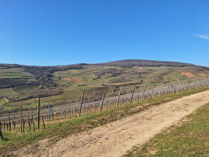 Fotografija s spletne strani Katharina na poti