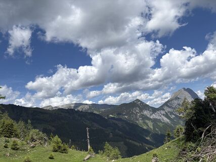 Photo de Moonytiger le long du parcours