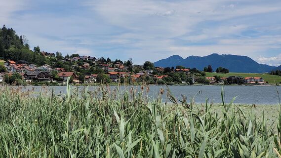 Foto von Anna48 Ma entlang der Tour