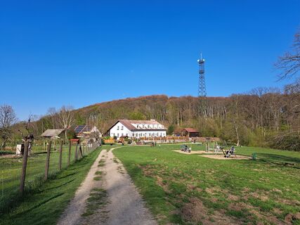 Foto von Karin F. entlang der Tour