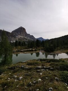 Fotografija s spletne strani Vida Burja na poti