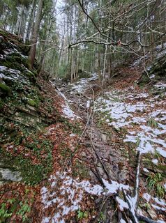 Fotografia z lisale1967 na trase