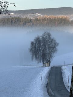 Foto von Babs Holz entlang der Tour