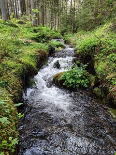 Photo de Mia76 le long du parcours