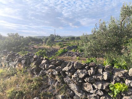 Foto von WilliSt entlang der Tour