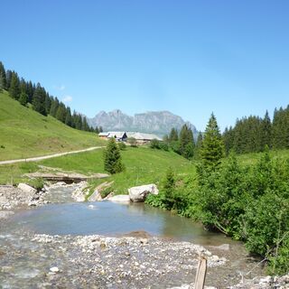 Alp Kohlschlag