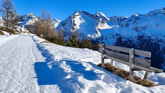 Photo de walrei le long du parcours