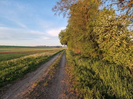Photo de Felix le long du parcours