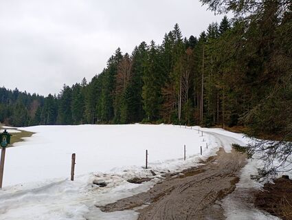 Foto de Monika Jeskova a lo largo del recorrido