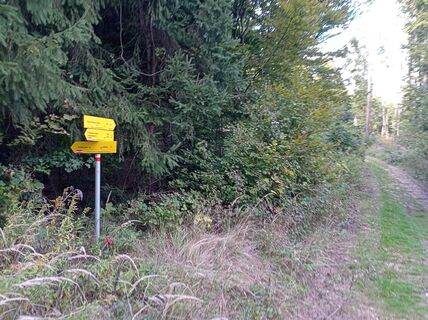 Photo de Steirer Bua le long du parcours