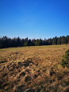 Foto de 3d63 ru^^n3r a lo largo del recorrido