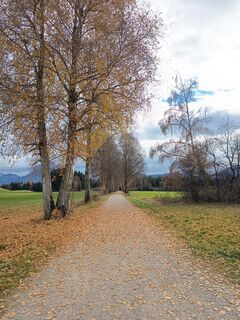 Photo de Bettina Miller 1 le long du parcours